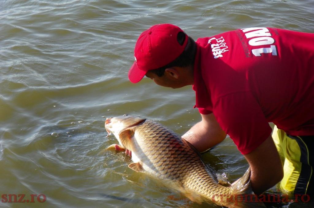 Party Cup ed.a-V-a  - 10102471.jpg